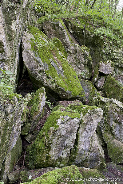 bois et rochers
wood and rocks